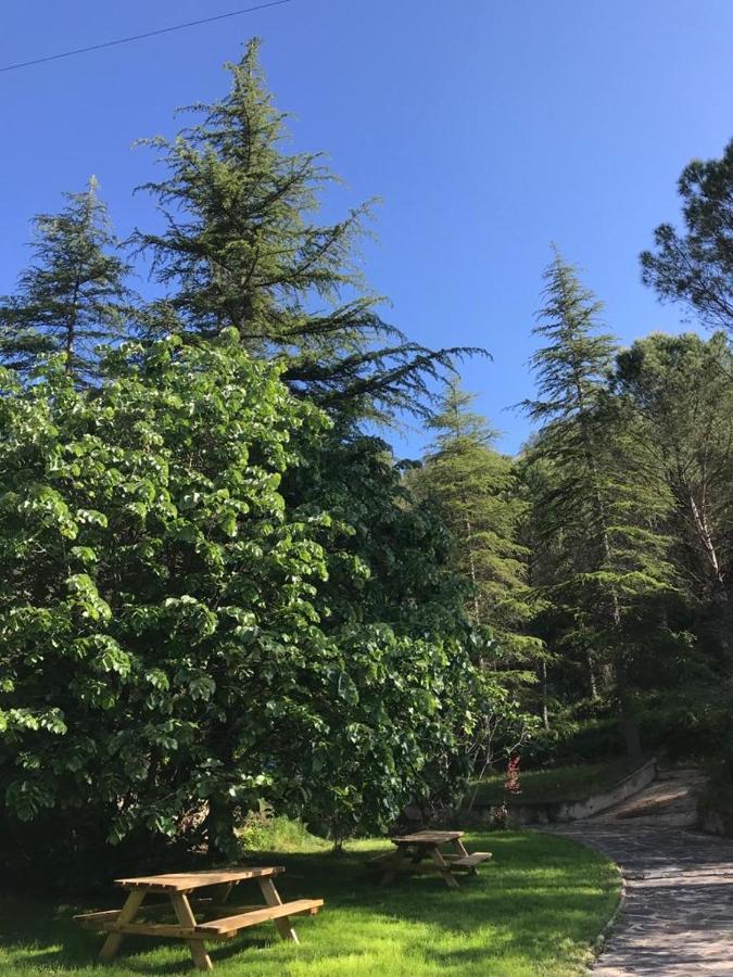 Bed and Breakfast Els Avets De La Muga Sant Llorenc de la Muga Exterior foto